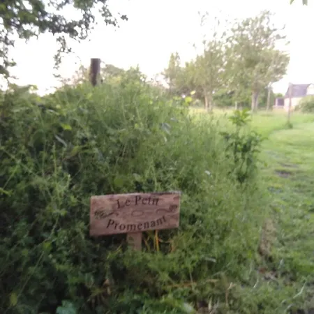 Le Petit Promenant *