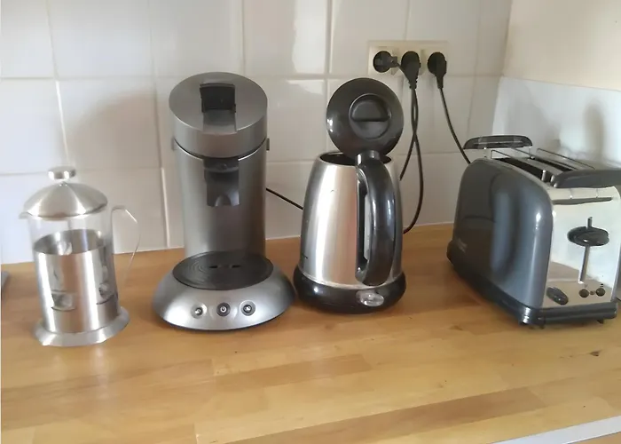 Le Petit Promenant *